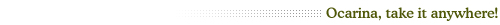 Ocarina Take it Anywhere....